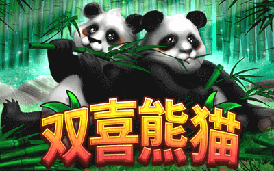 HB电子游戏《双喜熊猫》